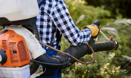 Person using leaf blower