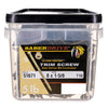Monster Fastener Star Drive Tan SaberDrive® Trim Screws