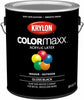 Krylon COLORmaxx paint